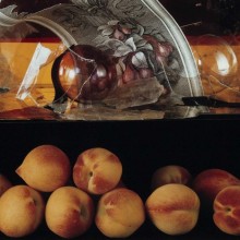 image POLAROID STILL LIFES